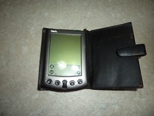 Palm palmare vintage - palm,