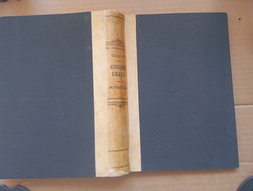 Tratto anatomia umana di - tratto,