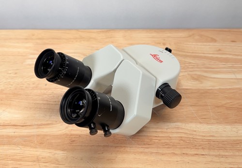 Leica microscopio testa - leica,