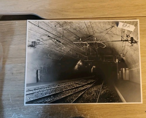 Treni ferrovie fotografia - ferrovie,