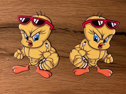 Adesivi strong bird sticker - bird,