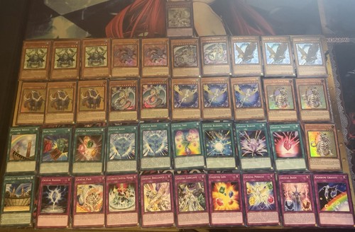 Mazzo yugioh bestia - yugioh,