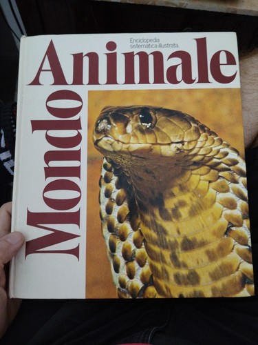Animale mondo enciclopedia - mondo,