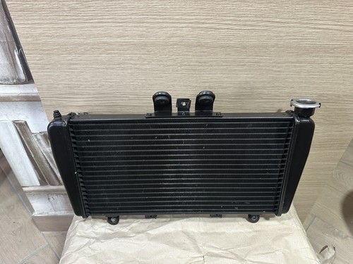 Radiatore acqua triumph speed - radiatore,