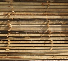 Tavole legno massello - tavole,