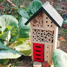 Casetta legno per insetti - in,