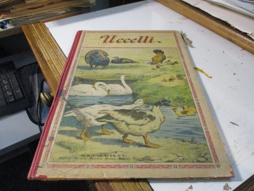 Uccelli acquerelli del - "uccelli",