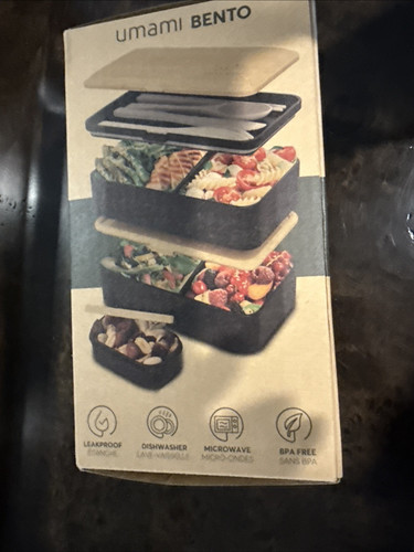 Bento box adulto - all-in-1, con
