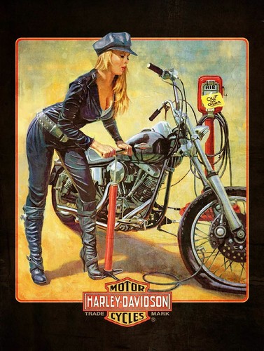 Insegna pubblicitaria harley - pubblicitaria,