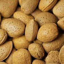 Mandorle Nostrane con guscio