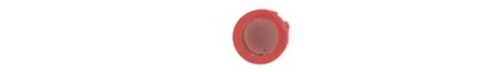 003235 anschütz anello di - , anschÜtz,