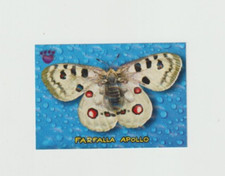 PIZZARDI AMICI CUCCIOLOTTI