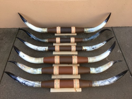 Corna manzo montata 4 - corna,