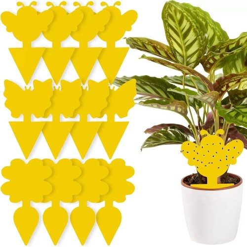 Trappole adesive - trappole,