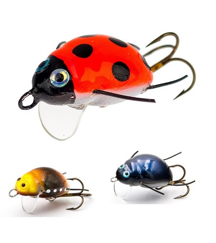Wob art coccinella scarafaggio - wob-art,