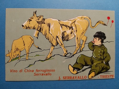 Trieste vino di china - trieste,