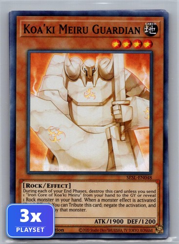 Koa meiru guardian - koa'ki,