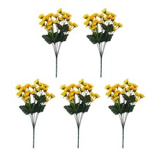 Fiori margherita gialla