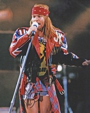 Axl Rose Guns N' Roses