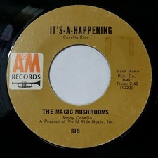 MAGIC MUSHROOMS  It's A