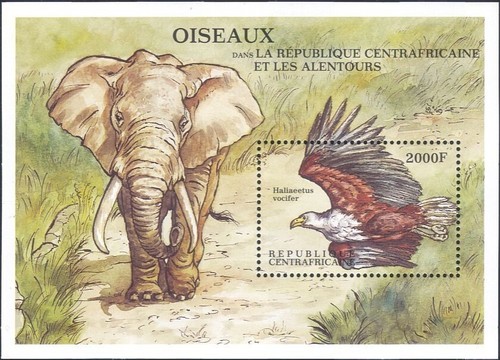 Repubblica centrafricana 1999 - repubblica,