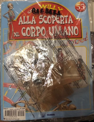 Alla scoperta del - , umano