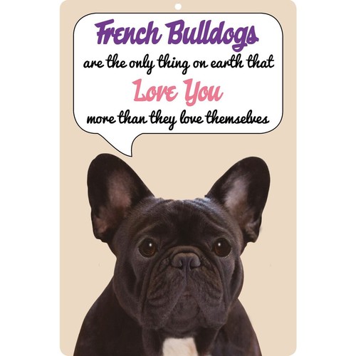 Insegna cane bulldog - bulldog, francese