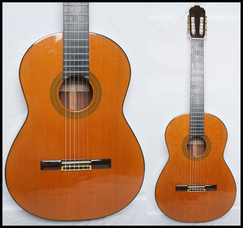 Chitarra classica ryoji - classica,