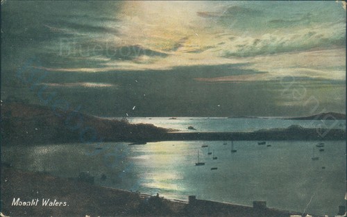 Moonlit waters wildt - waters, &