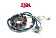 Statore magnete alternatore
