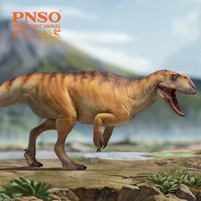 PNSO 2023 Dayong lo
