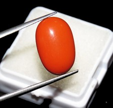 Anello 8 Ct Corallo Naturale