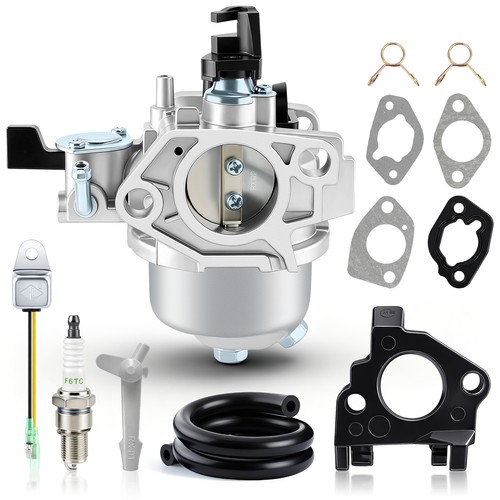 Oem ruixing carburetor - oem, for