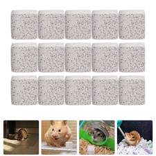  15 Pcs Porcellino D'india