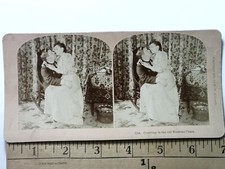 Corteggiamento nella vecchia