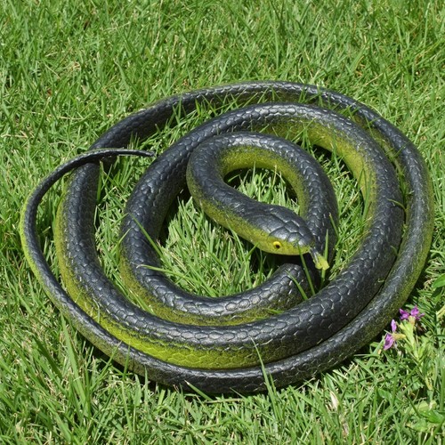 Confezione serpenti grandi - serpenti,