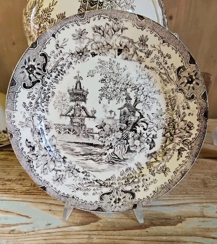1800 piatto terraglia decoro - 1800,