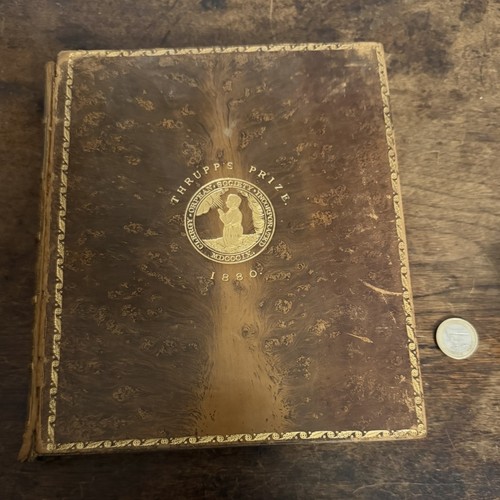 1880 treatise on - 1880,