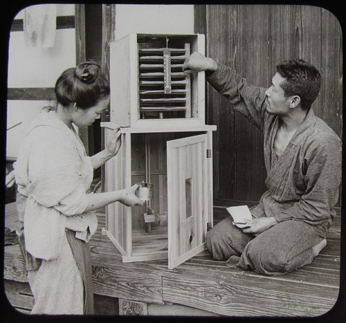 Glass magic lantern slide - glass,