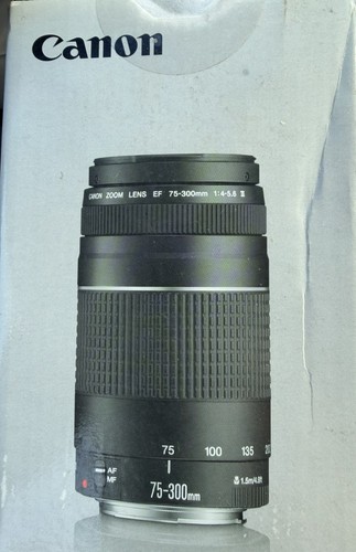 Canon 300mm 5 6 - canon, 75-300mm