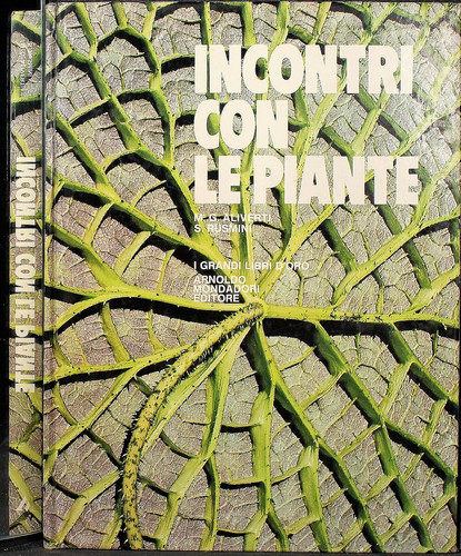Incontri con piante - incontri, le