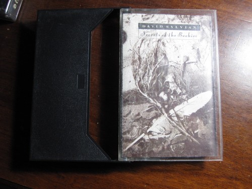 David sylvian secrets - david, of