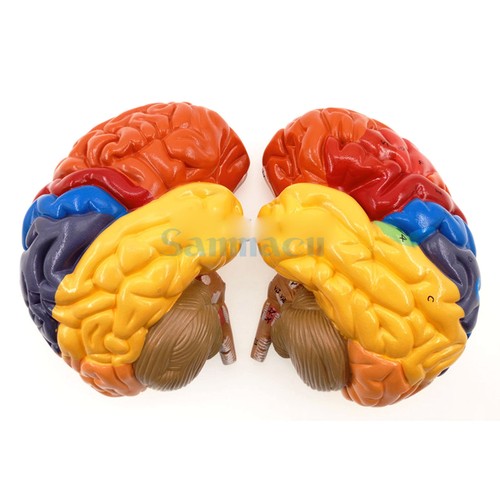 Pezzi colore funzione - colore,