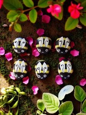 Rocce per animali domestici da