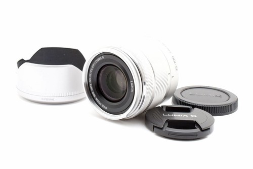 Panasonic lumix vario 100 - lumix, g