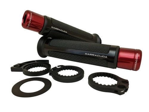 Ducati monster 600 barracuda - ducati,