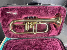 Amati corno volante