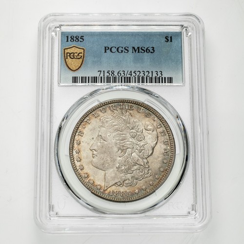 1885 dollaro d argento - $1, d'argento
