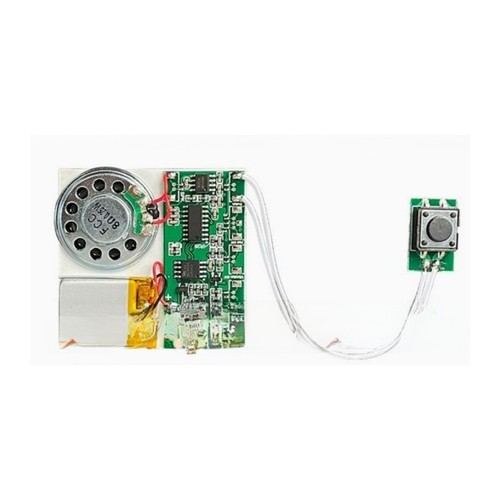 Modulo vocale mp3 effetto - modulo,