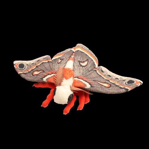 Luna moth pollici peluche - moth, 10